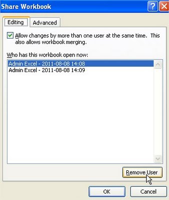 Share Workbook remove user